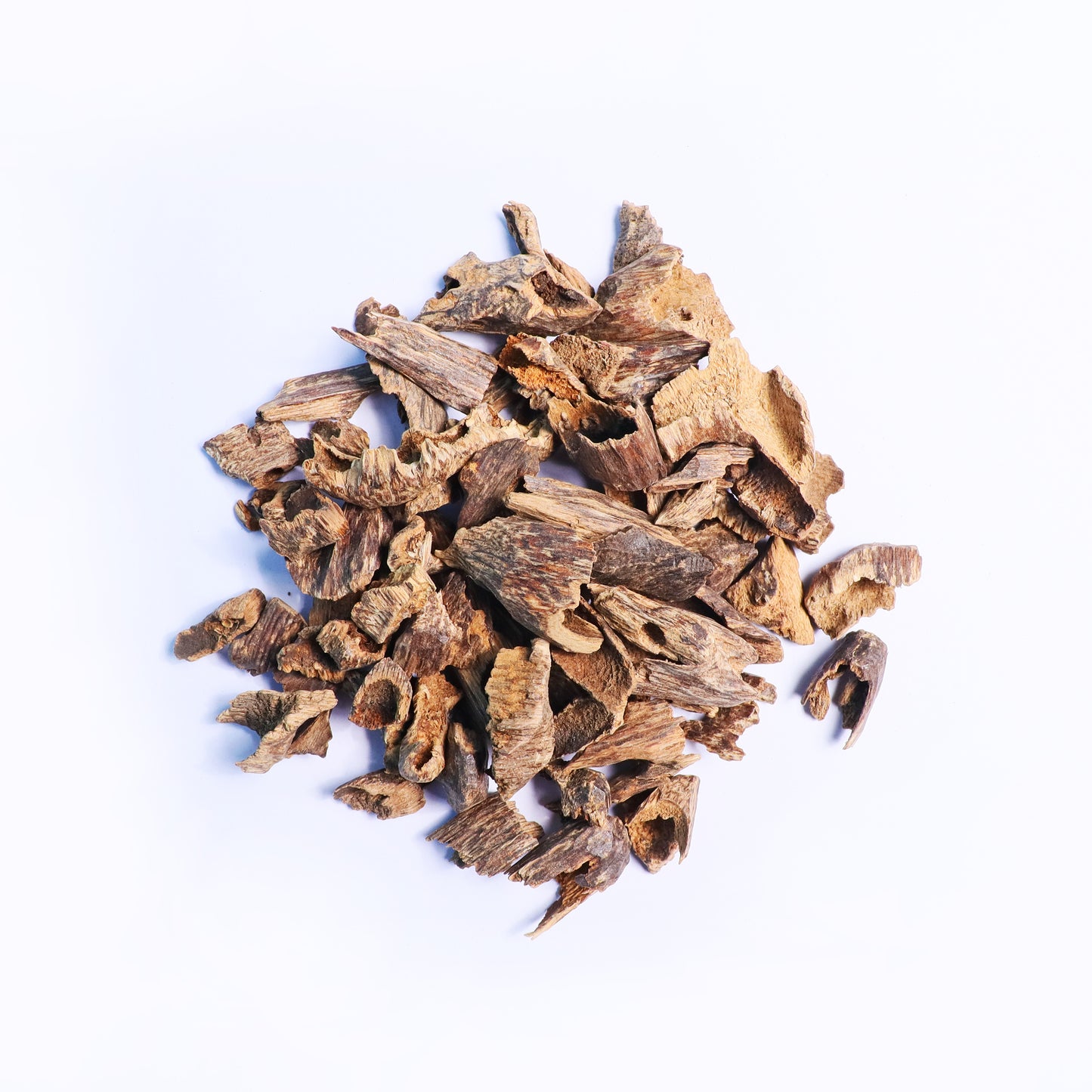 Indian Royal Mori (Tola)